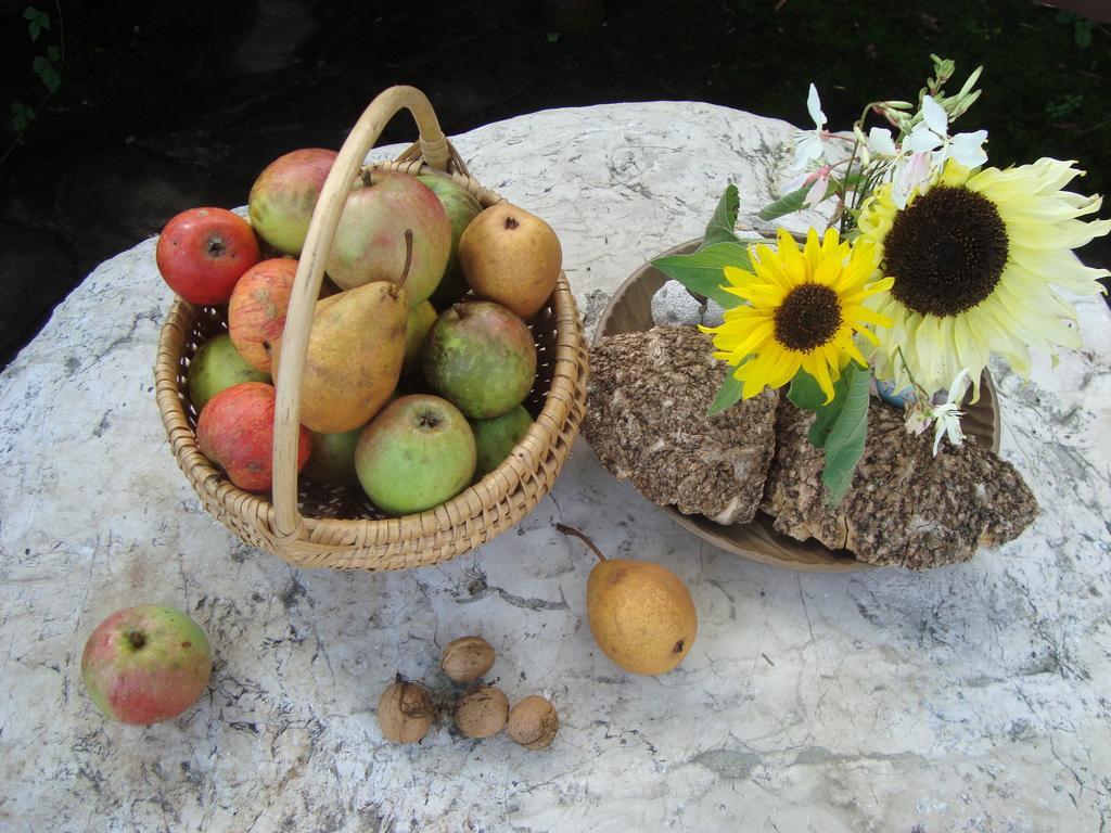 Apartment Norma Bovec Rum bild